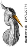 stork head bird vector illustration