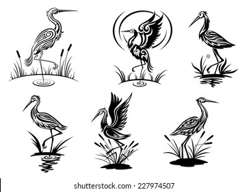 Stork, heron, crane and egret birds vector illustrations in black and white side view showing the birds wading in water