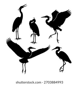 Stork and Heron silhouette vector set standing in water illustration.