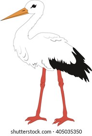 The Stork Illustration of a Bird