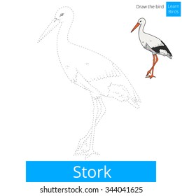 La cigüeña aprende el juego educativo de las aves a dibujar ilustraciones vectoriales