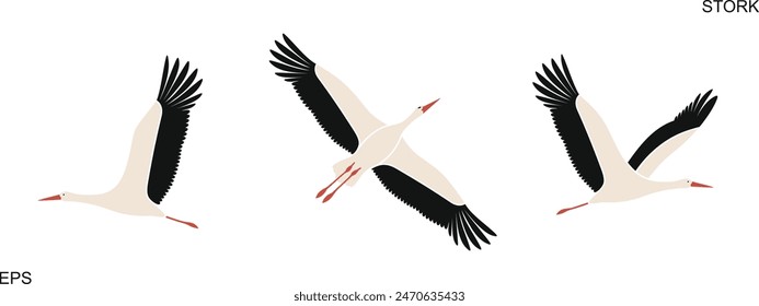 Stork logo. Isolated stork on white background