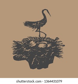 Stork in the nest.