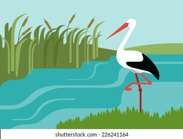 Stork on river bank in reeds flat design cartoon vector wild animals birds. Flat zoo nature children collection.