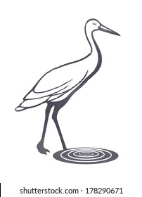 Stork on a white background