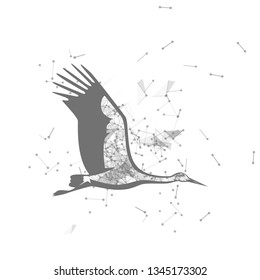 stork.  Polygonal wireframe stork silhouette. low poly vector illustrations on background of points and lines.