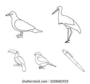 A stork, a seagull and various species. Birds set collection icons in outline style vector symbol stock illustration web.