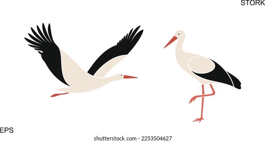 Stork set. Isolated stork on white background