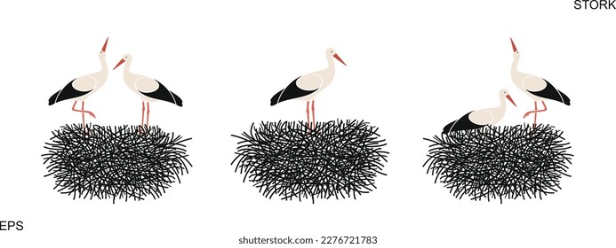 Stork set. Isolated stork on white background