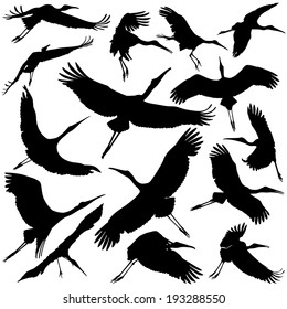 Stork silhouettes collection sets