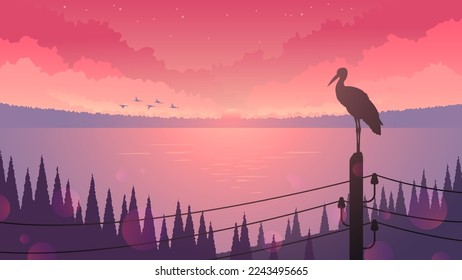 Stork sitting on wires on the background of sunset and lake. Wildlife landscape.