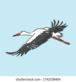 Dibujo gráfico vectorial de paro. Esbozo manual de una cigüeña para un diseño. cigüeña, ilustración de esbozo vectorial