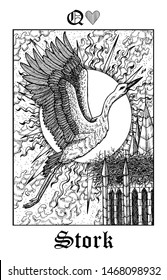 Stork. Tarot card from vector Lenormand Gothic Mysteries oracle deck. Black and white engraved illustration. Fantasy and mystic line art drawing. Gothic, occult and esoteric background