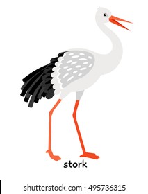 Stork vector illustration