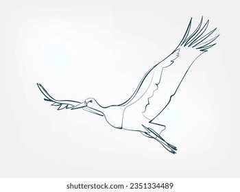 stork vector line art animal wild life single one line hand drawn illustration isolated