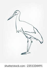 stork vector line art animal wild life single one line hand drawn illustration isolated