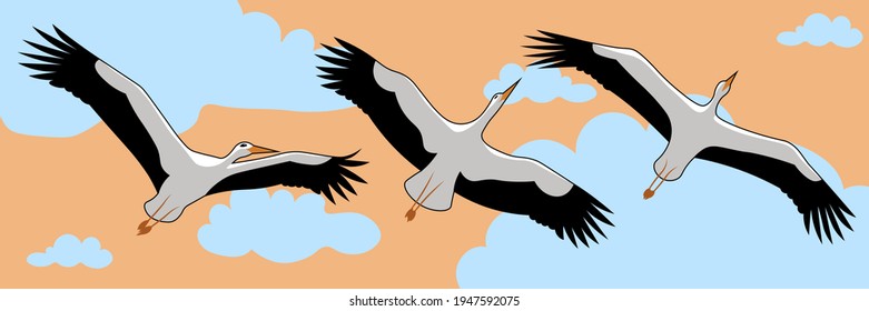 Storks. A bird's key flies in the sky. Vector illustration for web pages, websites, backgrounds, print.