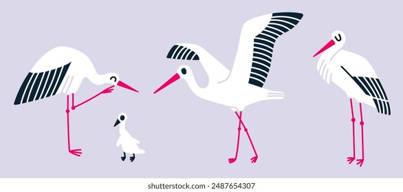 Storks. Birds. Vector. Illustration. Collection