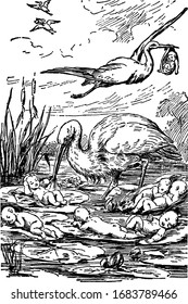 Storks carrying babies, babies floating on water, vintage line drawing or engraving illustration