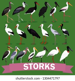 storks family set cartoon bird vector illustration