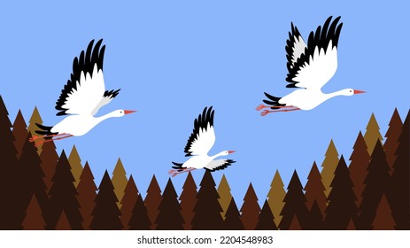 Storks fly in the sky over the forest, illustration, vector