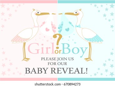 Storks are flying with love. Baby Gender Reveal  party. Baby shower 