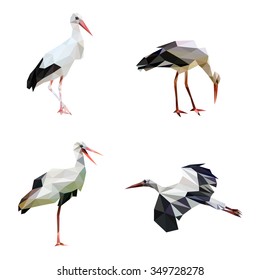 Storks in low polygon style on white background, vector illustration