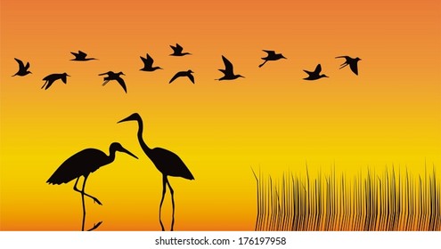 Storks in the middle of a reservoir on an orange background