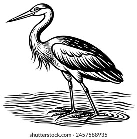 Storks are often associated with various cultural and symbolic meanings. In many cultures, they are seen as symbols of good luck, fertility, and family. In some folklore, they are believed to deliver 