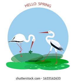 Storks - a pair of birds stands on a green field - icon isolated on a white background - vector. The world of birds.