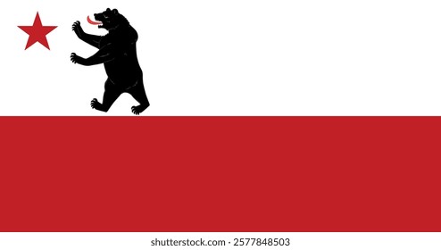 Storm Bear Flag Vector Illustration Premium Quality