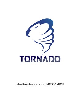 Storm Tornado Logo Design Vector Stock Vector (Royalty Free) 1490467808 ...