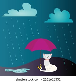 Stormy Night Sky Raining Cats Stock Vector (Royalty Free) 2161623331 ...