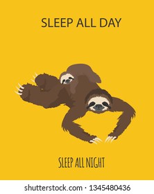 The story of one sloth. With family. Funny cartoon sloths in different postures set. Vector illustration