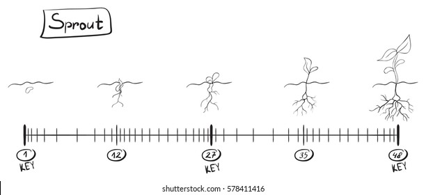 Storyboard Animation Seed Growth. Sketch On The Timeline