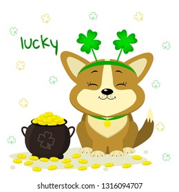 St.Patrick s Day. Cute dog corgi in the bezel with clover, bowler with gold coins, clover. Cartoon style, flat design. Vector illustration.