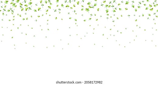 St.Patrick' s day horizontal seamless background. Green clover leaves random falling on white background. Ideal for greeting card, horizontal posters, header for website. Vector Illustration