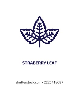 straberry leaf icon from nature collection. Thin linear straberry leaf, nature, fasciculate outline icon isolated on white background. Line vector straberry leaf sign, symbol for web and mobile