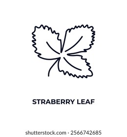 straberry leaf outline icon. Linear vector from nature concept. Thin line straberry leaf icon isolated on white background