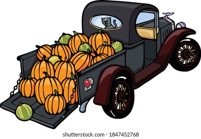 Straight from the 1920s this truck is overflowing with pumpkins and gourds.  This illustration features a 1920s classic truck with pumpkins rolling out of the  back. 