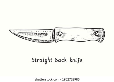 Straight back knife type. Ink black and white drawing outline illustration