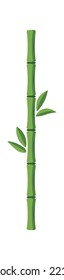 Straight bamboo trunk with leaves