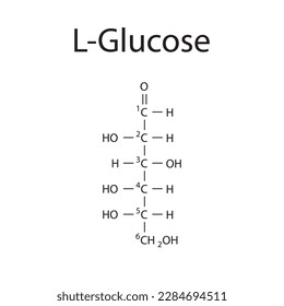 Straight chain form chemical structure of L-Glucose sugar. Scientific vector illustration on white background, with carbon numbering.