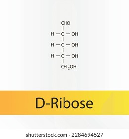 Cadena recta forma estructura química del azúcar D-Ribose. Ilustración vectorial científica sobre fondo blanco y naranja.