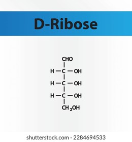 Cadena recta forma estructura química del azúcar D-Ribose. Ilustración vectorial científica sobre fondo blanco y azul.