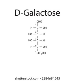 Cadena recta forma estructura química del azúcar D-Galactosa. Ilustración vectorial científica sobre fondo blanco, con numeración de carbono.