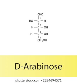 Straight chain form chemical structure of D-Arabinose sugar. Scientific vector illustration on white and yellow background, carbon numbering.