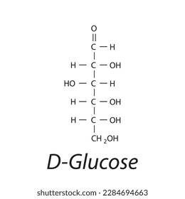 Straight chain form chemical structure of D-Glucose sugar. Scientific vector illustration on white background.