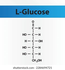 Straight chain form chemical structure of L-Glucose sugar. Scientific vector illustration on white and blue background.