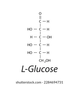 Straight chain form chemical structure of L-Glucose sugar. Scientific vector illustration on white background.